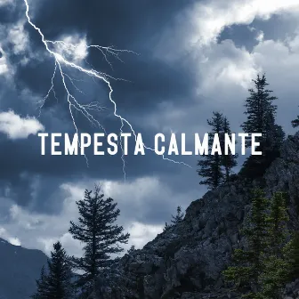 Tempesta calmante: Rumori di pioggia e temporale nella foresta by Zona pura di suoni naturali