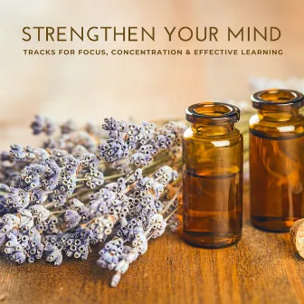 Strengthening Your Mind - Tracks For Focus, Concentration & Effective Learning by Mental Relaxation Project