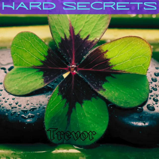 Hard Secrets