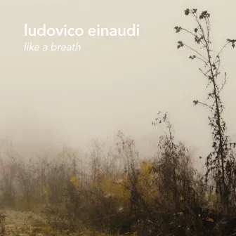 Like A Breath by Ludovico Einaudi