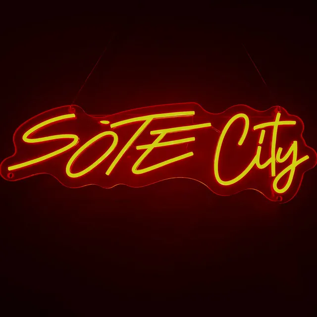 Welcome to SOTE CITY