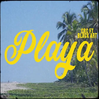 Playa by Black Art