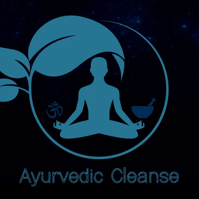 Ayurvedic Cleanse: Remove Toxins from Body (New Age Spa)