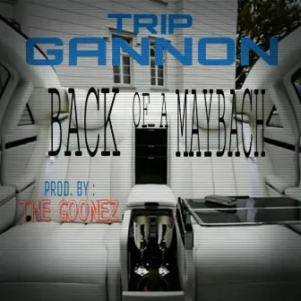 Back Of A Maybach by Trip Gannon