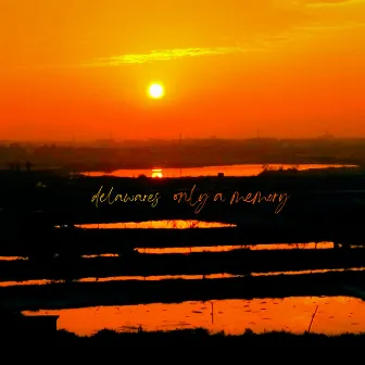 Only A Memory by Delawares