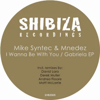 I Wanna Be With You / Gabriela by Mike Syntec