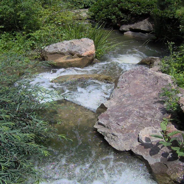 Small Stream into Coldwater Lake