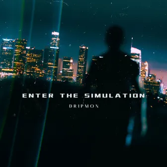 Enter the Simulation by Dripmon