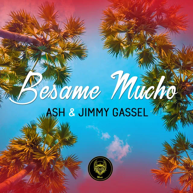 Besame Mucho - Moombahton Summer Mix