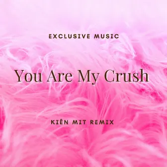 You Are My Crush (Kiên Mit Remix) [Full Instrumental] by Kiên Mít