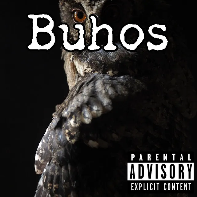 Buhos