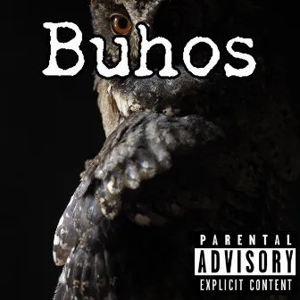 Buhos by QBA