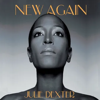 New Again by Julie Dexter