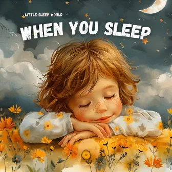 When You Sleep by Little Sleep World