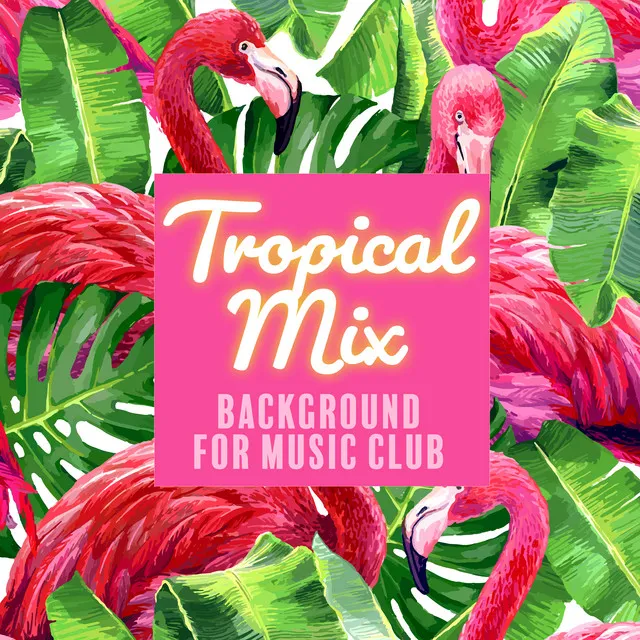 Tropical Mix: Background for Music Club, Dance Party all Night