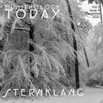 Ornithology Today Vol.2. Issue.4. by Sternklang