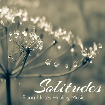 Solitudes – Piano Notes Healing Music by Unknown Artist