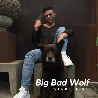 Big Bad Wolf by Venus Muse