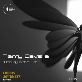 Beauty in This Life by Terry Cavalla