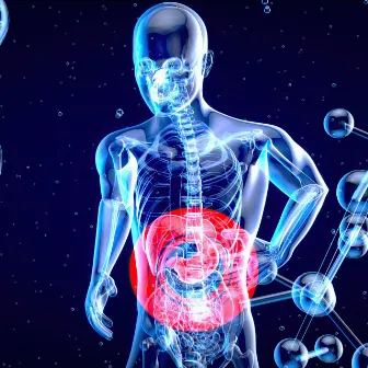 Digestive Healing for a Healthy Gut: Frequency Treatment for Stomach Relief and System Cleanse by Healing Energy Frequencies