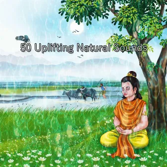 50 Uplifting Natural Sounds by Buddhist Meditation Music Set