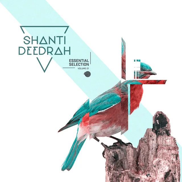 Liquid Smoke - Shanti V Deedrah Remix