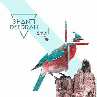 Essential Selection, Vol. 01 by Shanti V Deedrah