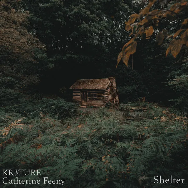 Shelter