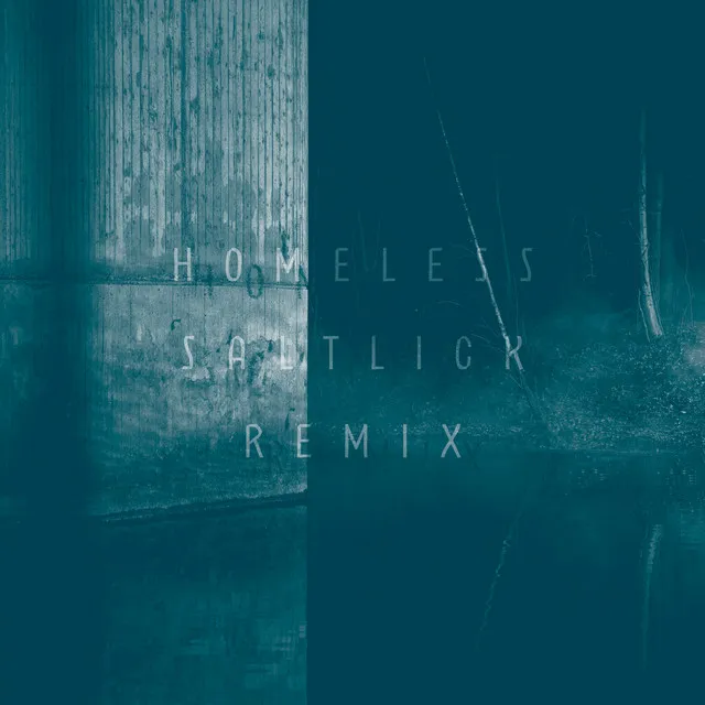 Saltlick (Homeless Remix)