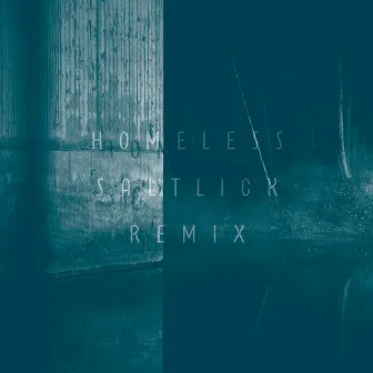 Saltlick (Homeless Remix) by Homeless