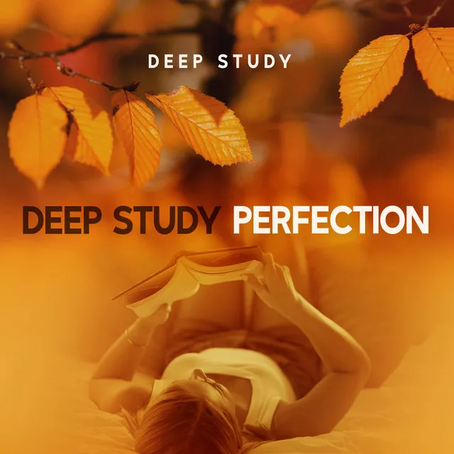 Deep Study Perfection