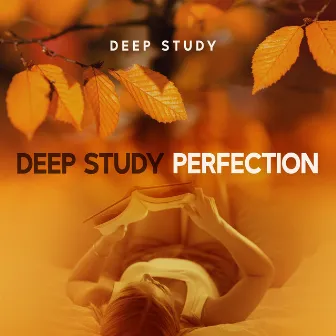 Deep Study Perfection by Deep study