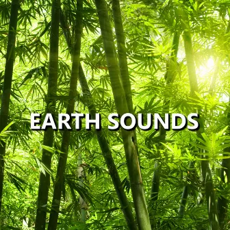 Earth Sounds by Earth Sounds