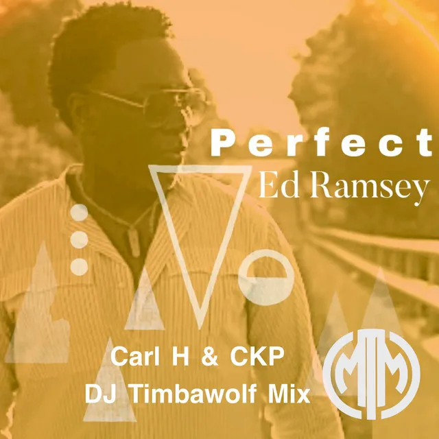 Perfect - DJ Timbawolf Dub Mix