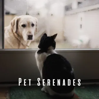 Pet Serenades: Dreamy Lofi Melodies for Pets' Calm by Sleepy Pets