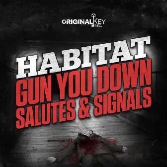 Gun You Down / Salutes & Signals by Habitat