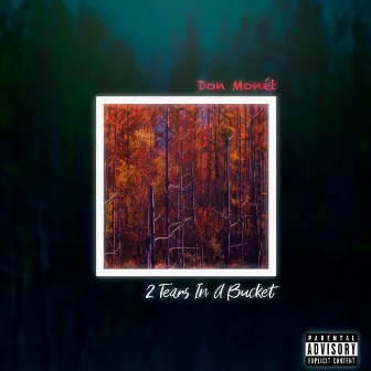 2 Tears in a Bucket by Don Monét