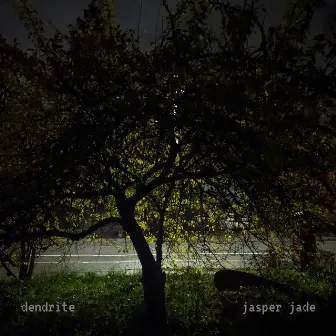 dendrite by Jasper Jade