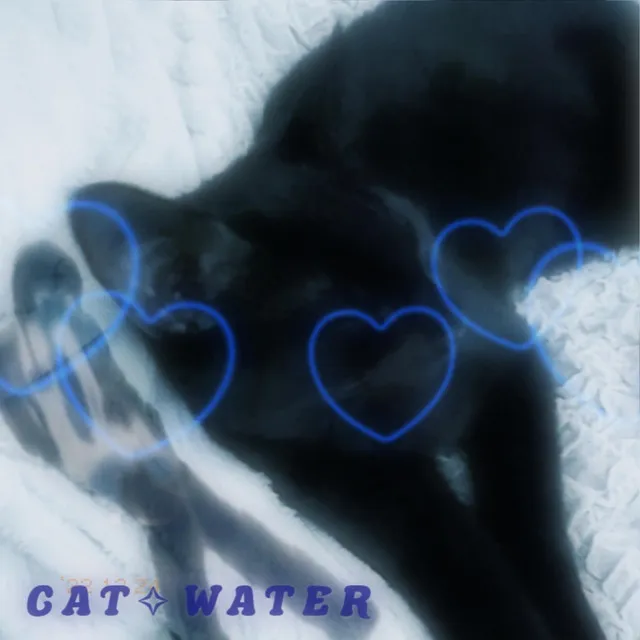 cat ✧ water