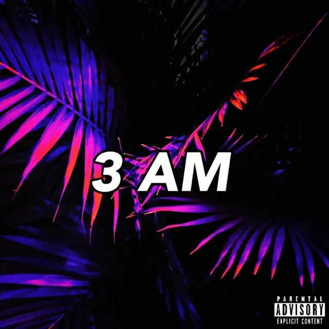 3 AM