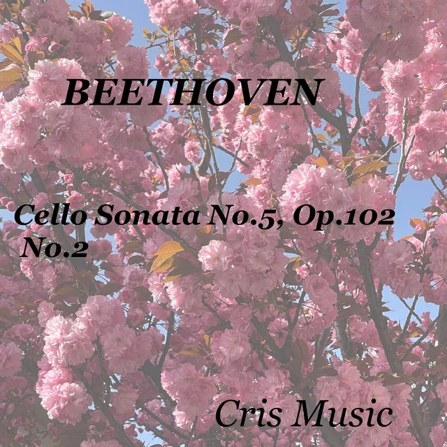 Beethoven: Cello Sonata No.5, Op.102, No.2