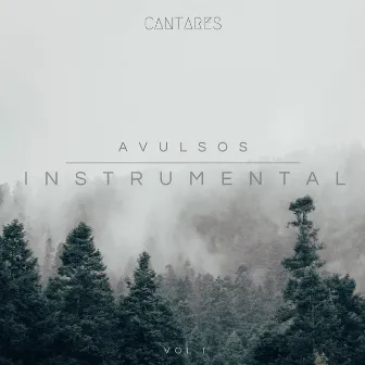 Avulsos Instrumental, Vol.1 by Cantares CCB