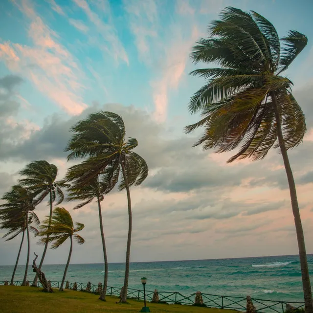 Walking into the Wind