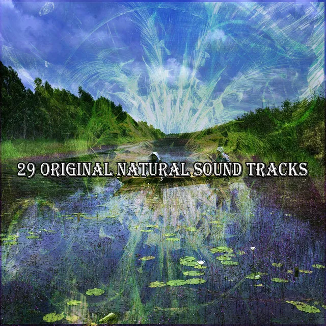 29 Original Natural Sound Tracks