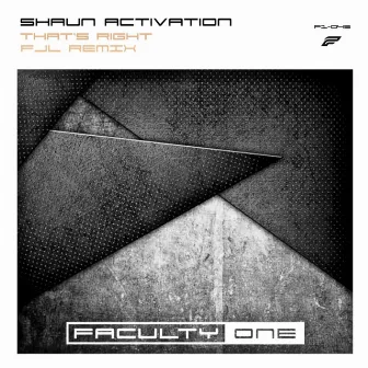 That's Right (FJL Remix - Radio Edit) by Shaun Activation