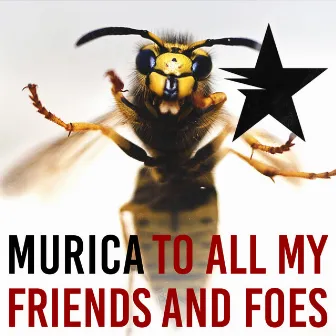 To All My Friends And Foes by Murica