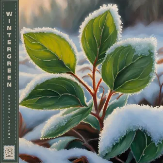 Wintergreen by Anthony Church