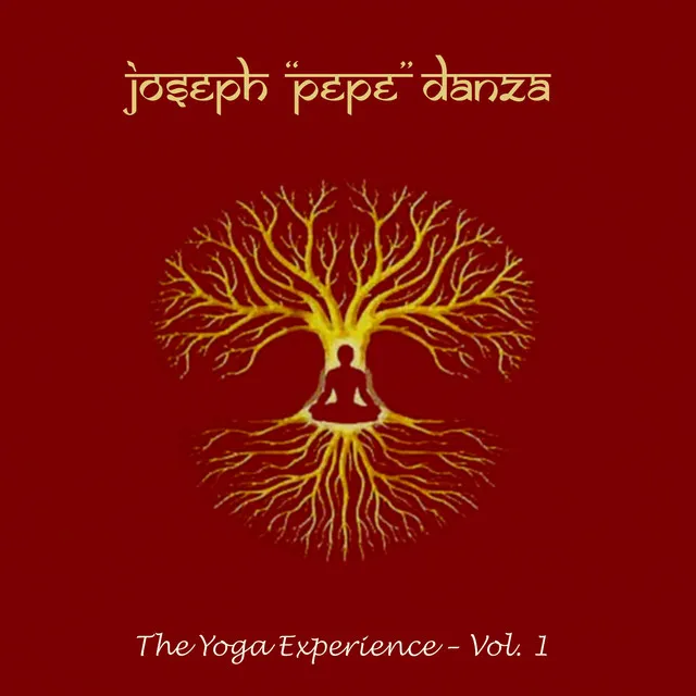 Yoga Experience (Volume 1)