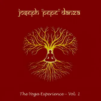 Yoga Experience (Volume 1) by Joseph Pepe Danza