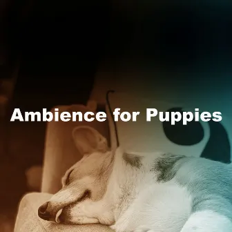 Ambience for Puppies by Music For Dog Relaxation